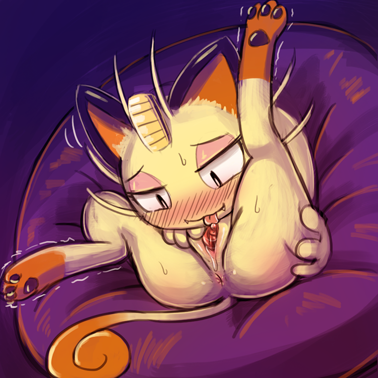 PokePorn Dex – #052 Meowth